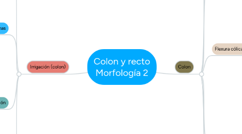 Mind Map: Colon y recto Morfología 2