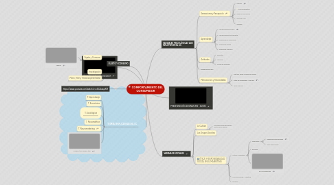 Mind Map: COMPORTAMIENTO DEL CONSUMIDOR