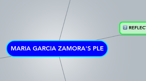 Mind Map: MARIA GARCIA ZAMORA'S PLE