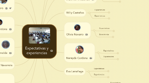 Mind Map: Expectativas y experiencias