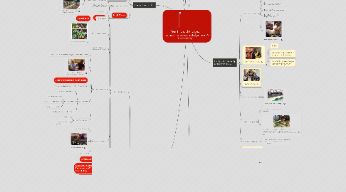 Mind Map: Year 1: David R. Lopez Community School at Edgemere Elementary