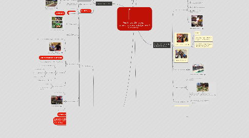 Mind Map: Year 1:  David R. Lopez Community School at Edgemere Elementary