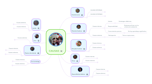 Mind Map: CAUSAS