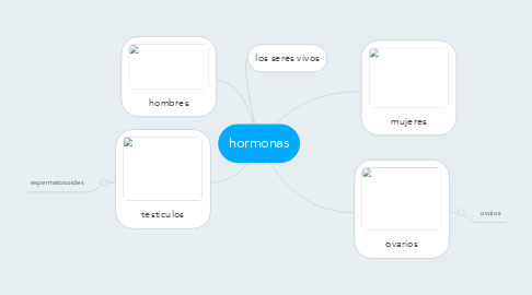 Mind Map: hormonas