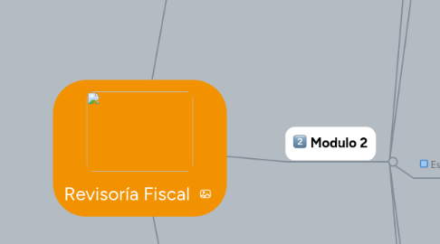 Mind Map: Revisoría Fiscal