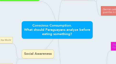 Mind Map: Conscious Consumption.          What should Paraguayans analyze before eating something?