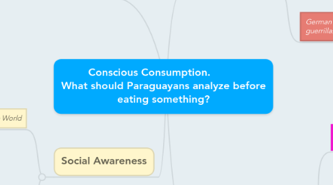 Mind Map: Conscious Consumption.          What should Paraguayans analyze before eating something?