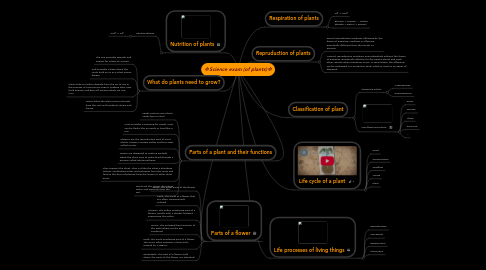 Mind Map: ❇Science exam (of plants)❇