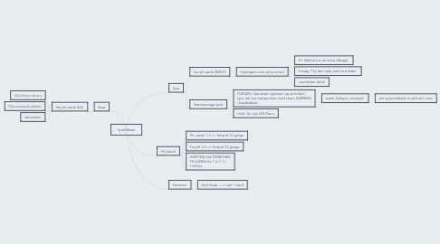 Mind Map: Syrer/Baser