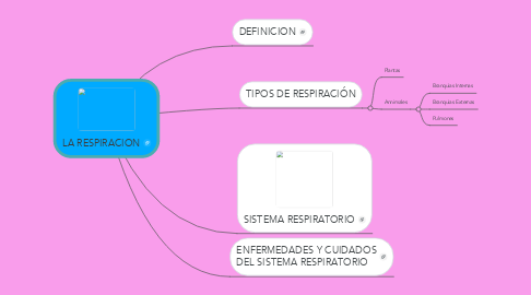 Mind Map: LA RESPIRACION