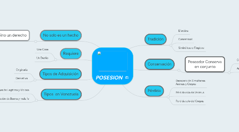 Mind Map: POSESION