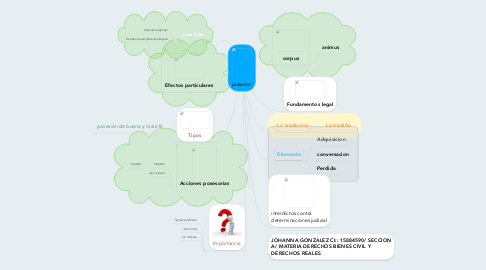 Mind Map: posesion