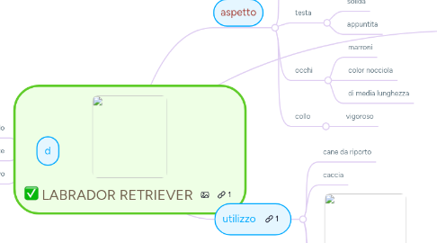 Mind Map: LABRADOR RETRIEVER