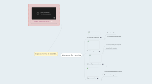 Mind Map: Especies marinas de Colombia.