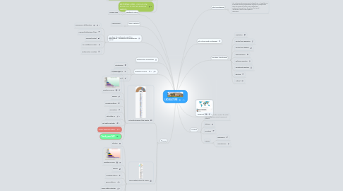 Mind Map: LEGISLATURE