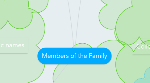 Mind Map: Members of the Family