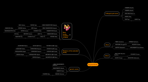 Mind Map: My great family