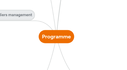 Mind Map: Programme