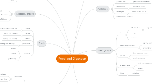 Mind Map: Food and Digestion