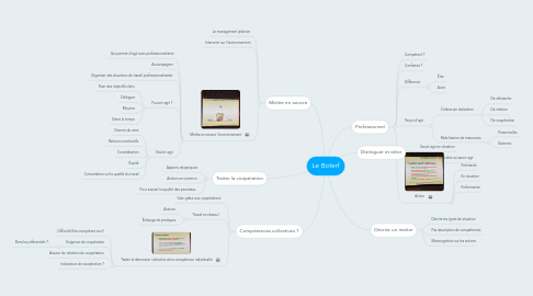 Mind Map: Le Boterf