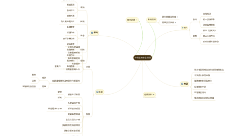 Mind Map: 中國食物安全問題