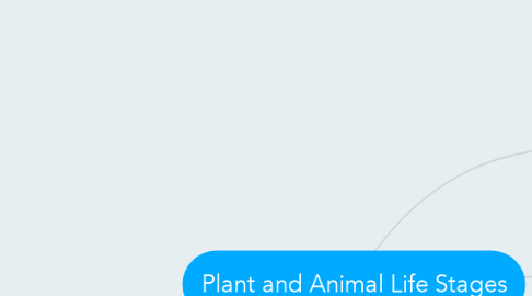 Mind Map: Plant and Animal Life Stages