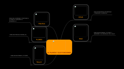 Mind Map: LA PLANTA Y SUS FUNCIONES