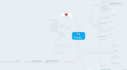 Mind Map: Financial Manager By: Martin Weisz