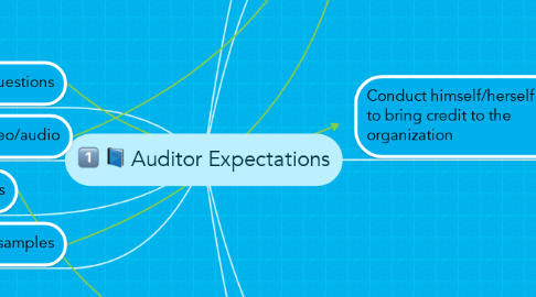 Mind Map: Auditor Expectations