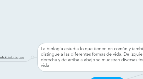 Mind Map: BIOLOGIA