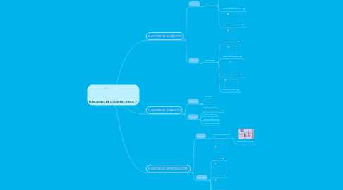 Mind Map: FUNCIONES DE LOS SERES VIVOS