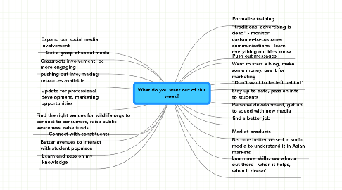 Mind Map: What do you want out of this week?