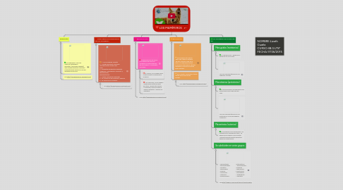 Mind Map: LOS MAMÍFEROS