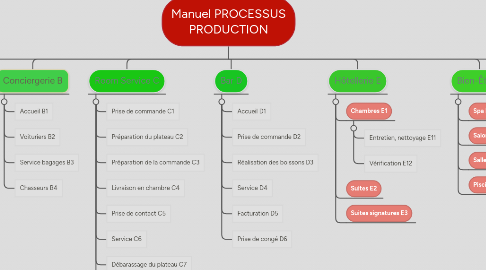 Mind Map: Manuel PROCESSUS PRODUCTION