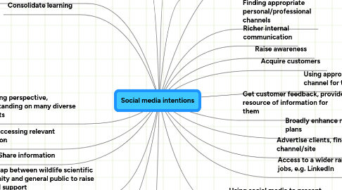 Mind Map: Social media intentions