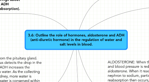 Mind Map: 3.6: Outline the role of hormones, aldosterone and ADH (anti-diuretic hormone) in the regulation of water and salt levels in blood.