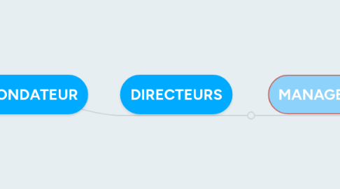 Mind Map: FONDATEUR