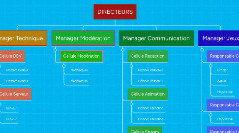 Mind Map: DIRECTEURS