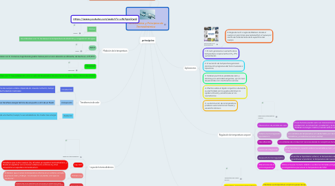 Mind Map: Termometría y Principios de Termodinámica