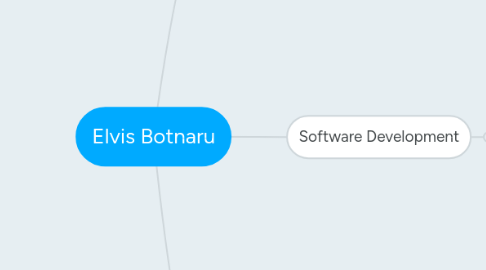 Mind Map: Elvis Botnaru