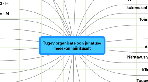 Mind Map: Tugev organisatsioon juhatuse meeskonnaürituselt