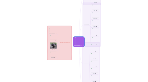 Mind Map: LOS ANIMALES