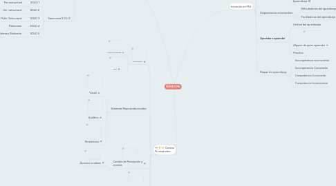 Mind Map: FEEDBACK PNL