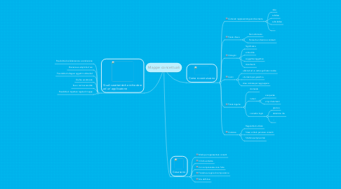 Mind Map: Mappe concettuali