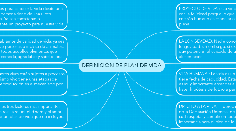 Mind Map: DEFINICION DE PLAN DE VIDA