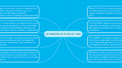 Mind Map: DEFINICION DE PLAN DE VIDA