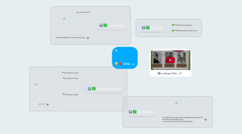 Mind Map: DNA