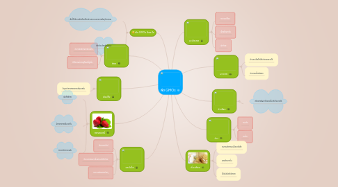 Mind Map: พืช GMOs