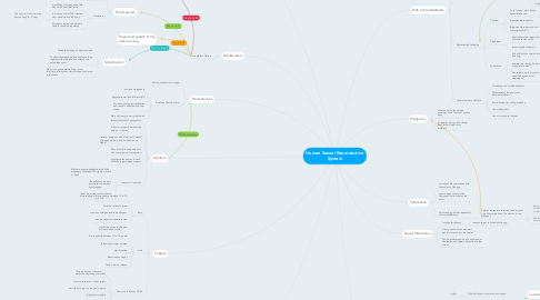 Mind Map: Human Sexual Reproductive System