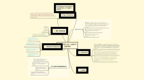 Mind Map: ANATOMÍA DEL CUERPO HUMANO